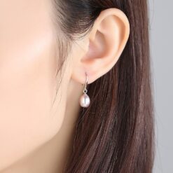 Wholesale Earrings Jewelry 925 Sterling Silver Hook Ladies 2