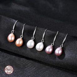 Wholesale Earrings Jewelry 925 Sterling Silver Hook Ladies 3