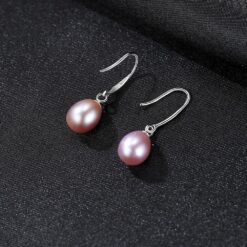 Wholesale Earrings Jewelry 925 Sterling Silver Hook Ladies 5