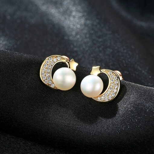 Wholesale Earrings Jewelry Brand 925 Silver Moon Shape 5