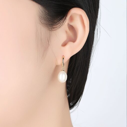 Wholesale Earrings Jewelry Luxury 925 Sterling Silver Jewelry For Women 2