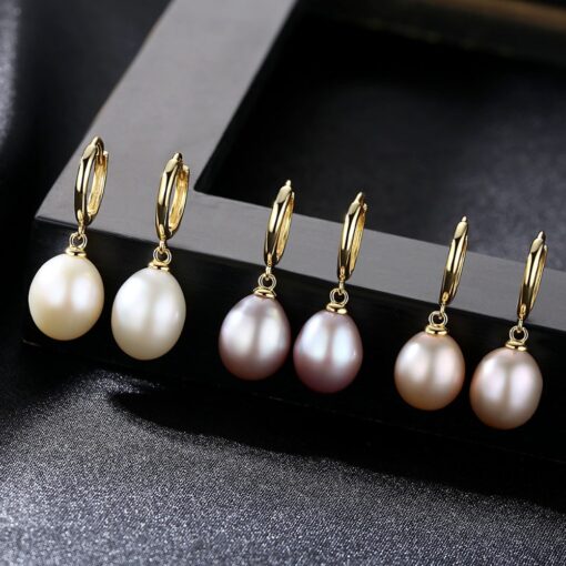 Wholesale Earrings Jewelry Luxury 925 Sterling Silver Jewelry For Women 3