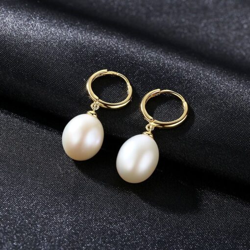 Wholesale Earrings Jewelry Luxury 925 Sterling Silver Jewelry For Women 4