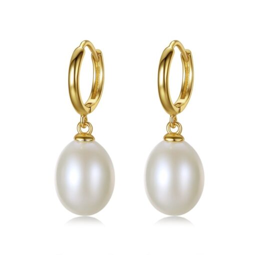 Wholesale Earrings Jewelry Luxury 925 Sterling Silver Jewelry For Women