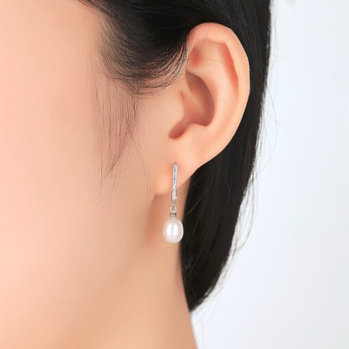 Wholesale Earrings Jewelry Wholesale Women 925 Silver Classic Style 2