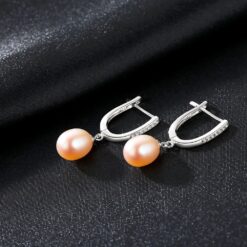 Wholesale Earrings Jewelry Wholesale Women 925 Silver Classic Style 4