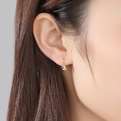 Wholesale 2018 Hot 925 Silver Hook Earrings 2
