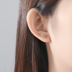 Wholesale CZ Pave Star Brushed Earrings 1