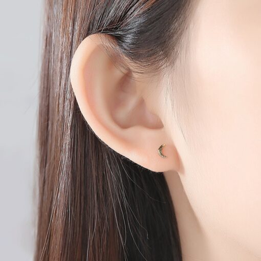 Wholesale Fashion Moon Shape Animal Korea Earrings 2