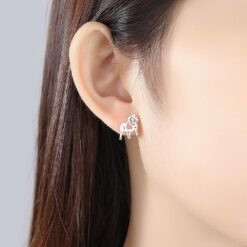 Wholesale S925 Sterling Silver Fashion Brushed Earrings 1