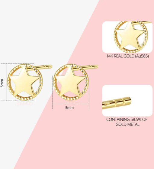 14K Gold Earrings Hollow Star Design Women Jewelry Wholesale 1