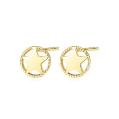 14K Gold Earrings Hollow Star Design Women Jewelry Wholesale